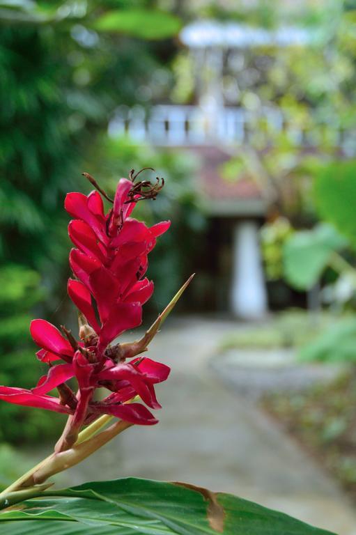 Hotel Desa Nyima Seminyak Exteriér fotografie